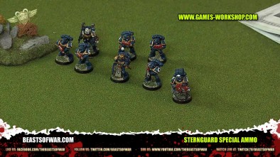 Sternguard Special Ammo