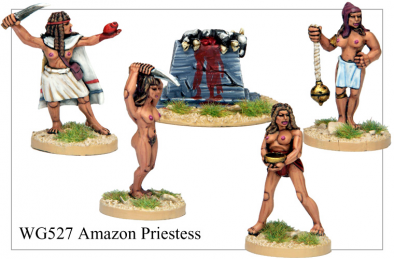 Amazon Priestess