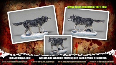 Wolves and Warrior Women from Dark Sword Miniatures