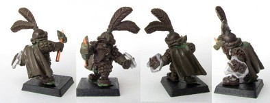 Dwarf Champion with Hammer