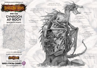 Gynroch ap Roch Concept