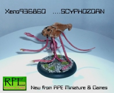 RPE - Scyphozoan