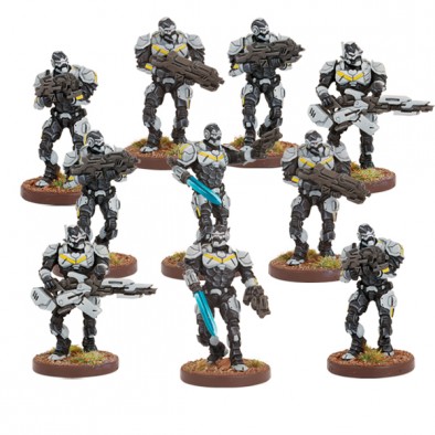 Enforcer Strike Section