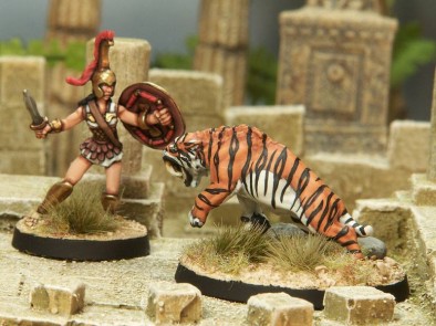 Hippolyta vs Tiger