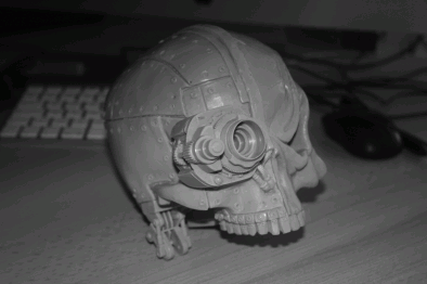 Companion Skull