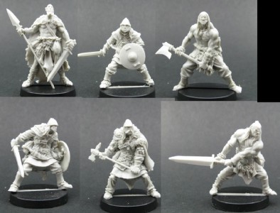 Norse Warrior Warband