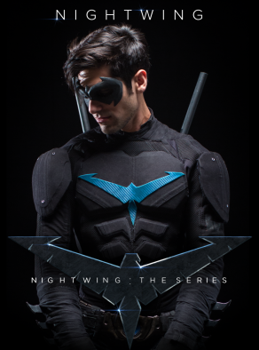 Nightwing - The Series