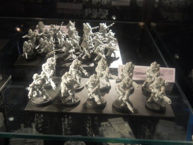 Solar Auxilia Flamer Section