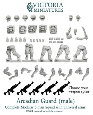Universal Male Arcadian Guard