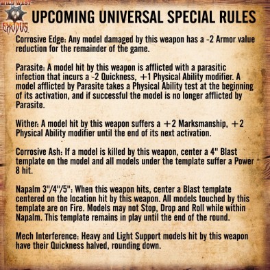 WWE special rules