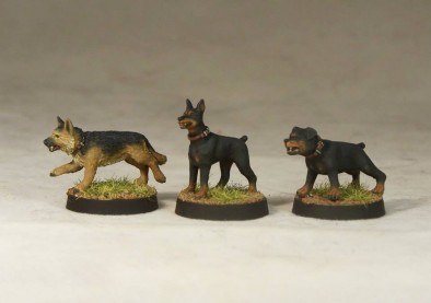 Attack Dogs