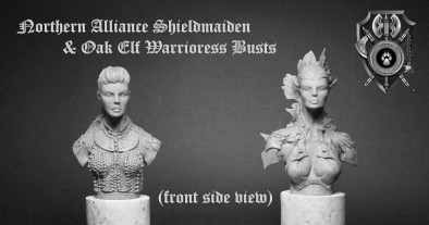 Oak Elf Warrior & Shieldmaiden (Bust) Front