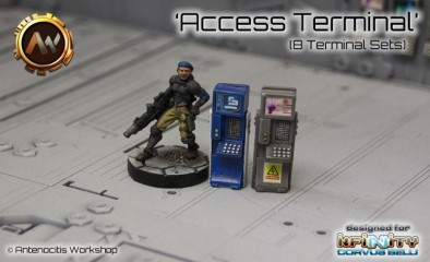 Access Terminal