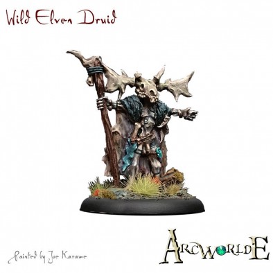 Wild Elven Druid