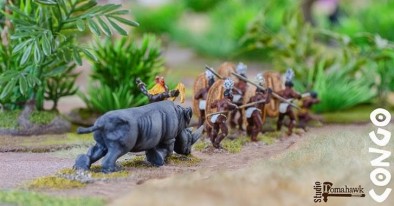 Rhino Hunt