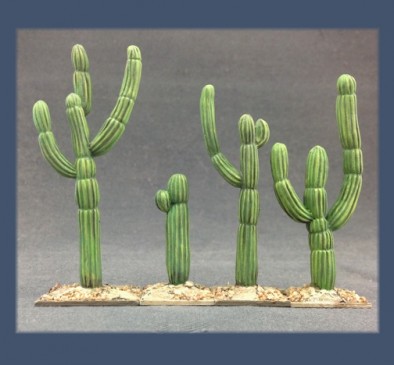 Cacti