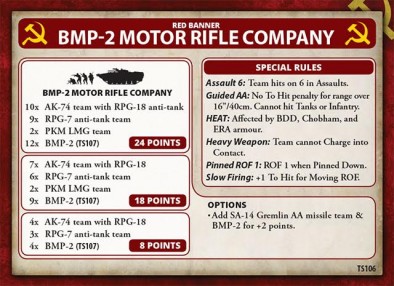 BMP-2 Motor Rifle Company (Details)