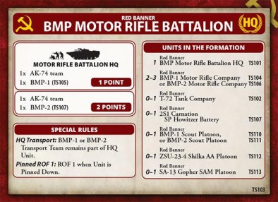 BMP Motor Rifle Battalion (Details)