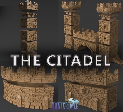 Winterdale the citadel