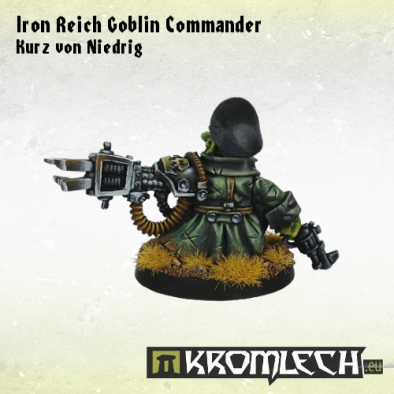 Iron Reich Goblin Commander Back