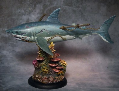AMG shark1