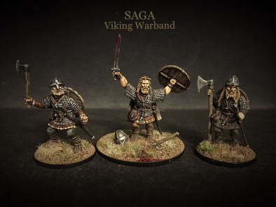 suetoniuspaullinus SAGA Viking Warband