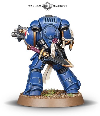 Primaris Sergeant #2