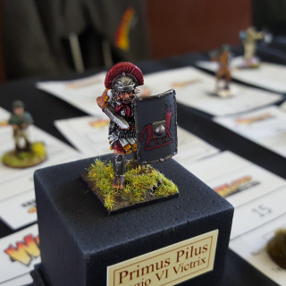 Painting Competition Entries