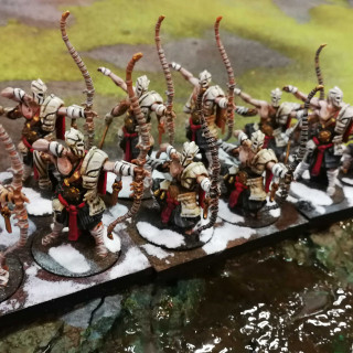 A Closer Look At The Para Bellum Wargames’ Conquest Models