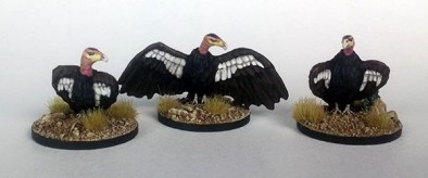 Vultures