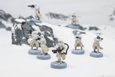 Snowtroopers Diorama