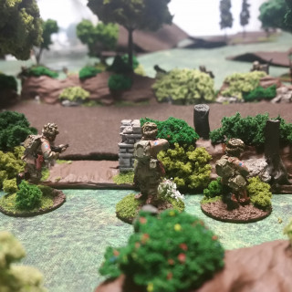 Staged Shots with Some Bocage I Completed
