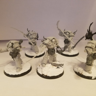 Typhus and Deathshroud