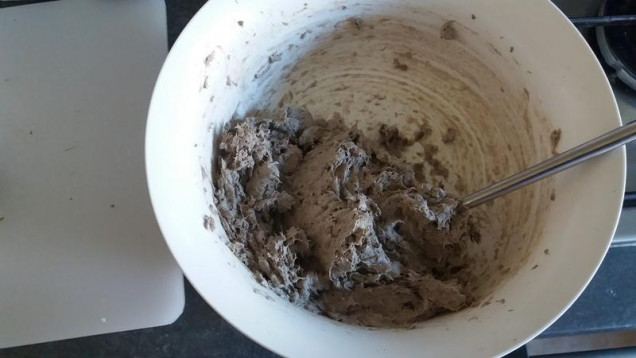 Take the resulting damp mulch and mix in lots of PVA glue until you get a soft paste, its fine to have lumpy bits. I find that storing the mixture in a sandwich/ freezer bag in the fridge means the mixture keeps fine for a few weeks, just let everyone know its not Tuna mayo!. 