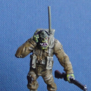 Real Orc Commandos, Snail Riding Gnomes, Zombie Elves, Troglodyte and More