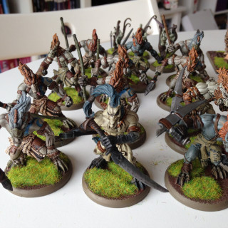 Wulfen / The Herd; a refurbished prepainted and secondhand army