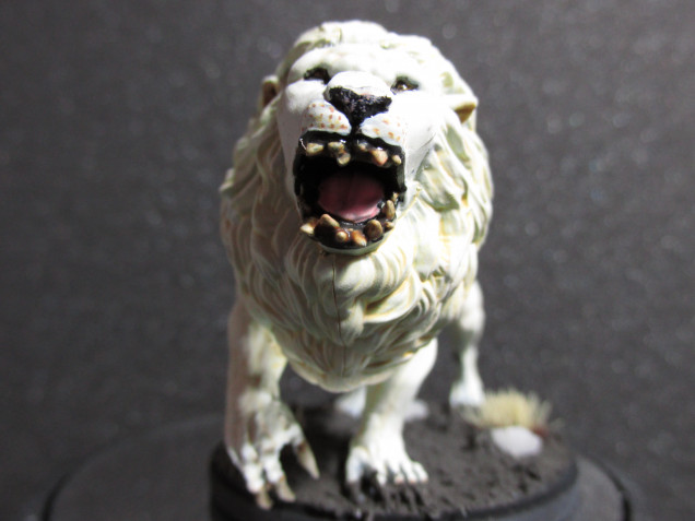 White Lion