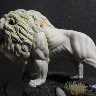 White Lion