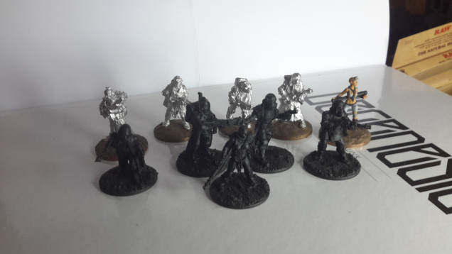 A selection of figures  to represent a group of scavengers/scrapers