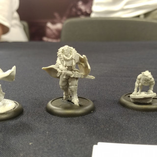 Liontower Miniatures Roar For Their Shortlisted RPG Minis [PRIZE]