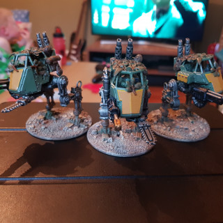 Sentinels and command squads