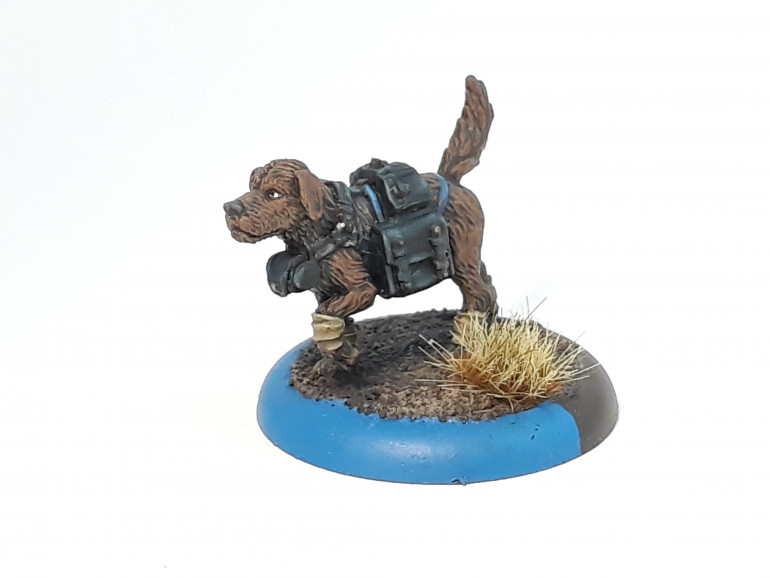 Patrol Dog