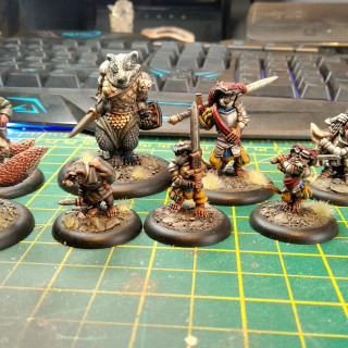 My painted warband so far!