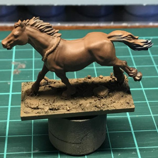 Victrix Numidian light horse - Horses!!