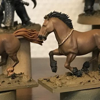 Victrix Numidian light horse - Horses!!