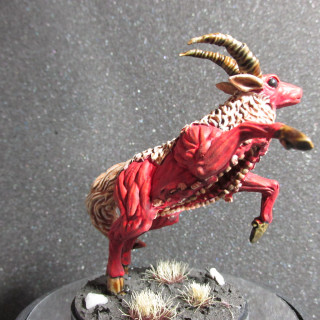 Screaming Antelope