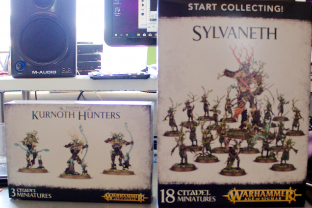 The boxes I bought. Start collecting Sylveneth and Kurnoth Hnters