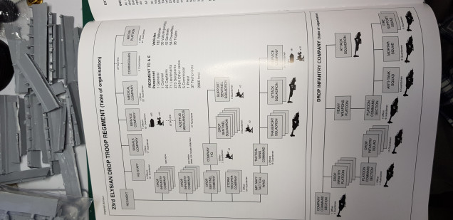 Regiment Structure 1