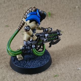 Necron Immortals