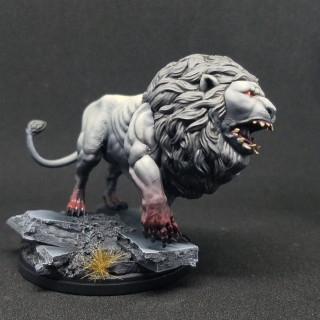 The white lion